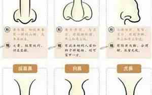 凹鼻梁的人面相事业