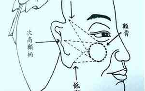 从面相看智商和品德的区别