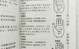 面相算命免费