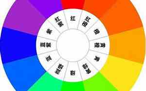 玫瑰花各种颜色代表的意义