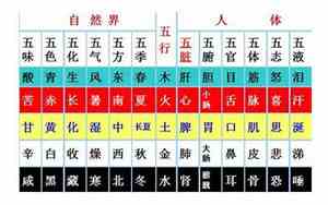 羿字取名的寓意是什么