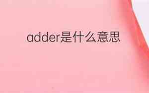 newsreader是什么意思