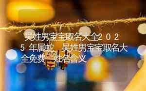 吴姓男宝宝取名大全2023年属兔