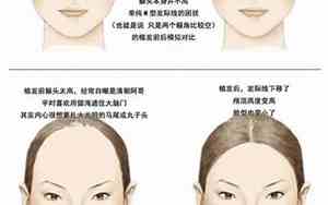 发际线往前长什么风水