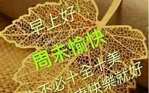 周末向别人问好的句子简短