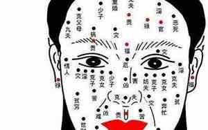 面相十相指什么生肖