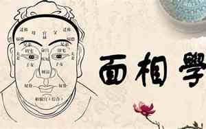 周易有面相学吗