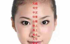 双全无肉念面相好吗