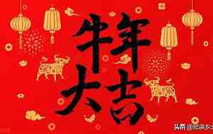 2021年是什么牛年金木水火土