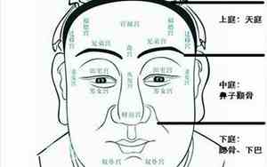 头型饱满的男人面相图片