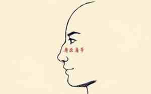 什么样的是高鼻梁