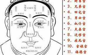 如何看面相宫位好坏呢