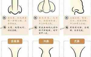 右边鼻翼有竖痕面相好不好