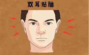 双耳贴脑的面相