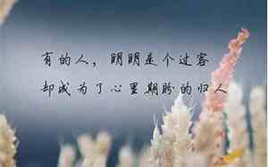 友情好聚好散的句子唯美