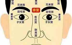 哪里是夫妻宫面相