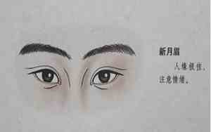 大女人都有什么面相呢