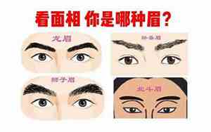 眉毛尾端下垂