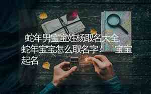 蛇年男宝宝取名最佳用字
