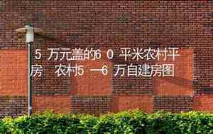 在农村5万元能盖平房吗多少钱