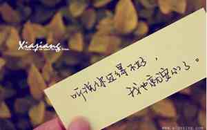 失去的快乐的句子