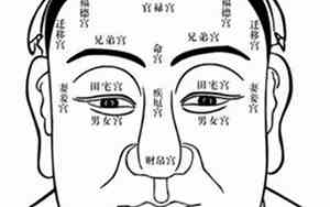 父母偏心是什么意思