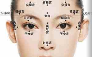 中正正骨手法顺序特点