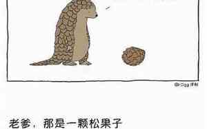 段子光辉岁月的污梗图片