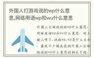 毋庸置疑什么意思
