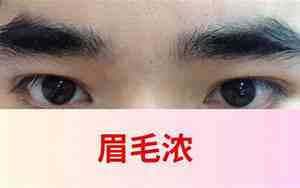 眉毛浓长的人命运如何