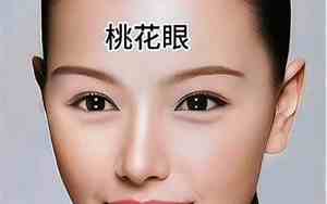 各种名人面相特征图片