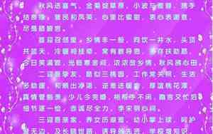 婚庆恋词背景音乐叫什么