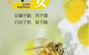 每天早上好正能量的晨语短篇