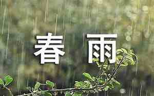 春雨过后的句子有哪些