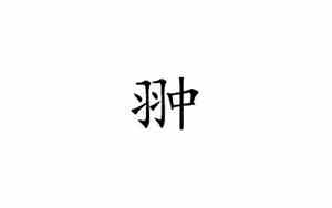 翀字取名男孩有寓意