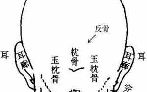 脑袋后高前低面相