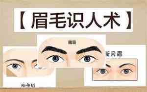 眉尾长好看吗