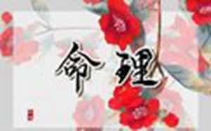 生辰八字算多少斤两(生辰八字算多少斤两啥意思)