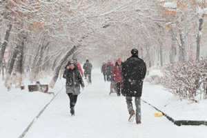 做梦梦到下很大的暴雪-神算网(梦到下很大很大的暴雪)