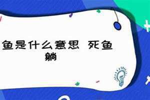 酒吧死鱼是什么意思啊 梦见捡到好多死鱼是什么意思啊