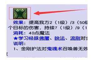 金刚护体加多少防御 金刚护体是什么意思啊