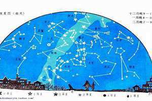 二月星座运势查询(二月星座)