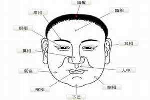 地阁是哪个部位图片 地阁是哪个部位妻为财