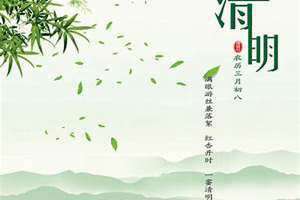 2023年清明节放假是哪几天(2023年清明节)