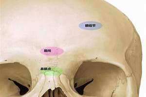 额突骨折是指什么位置 额突骨折