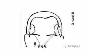宽额头和高额头的区别