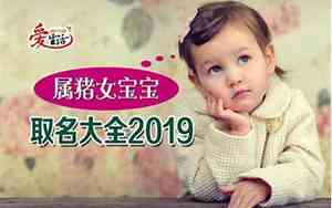 属猪女宝宝取名带什么字好