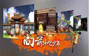 二师兄加速器官方正版