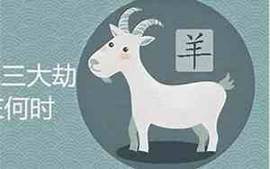 属羊是哪一年的出生的人