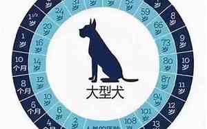 属狗的是哪一年出生的1946年出生的今年多少岁